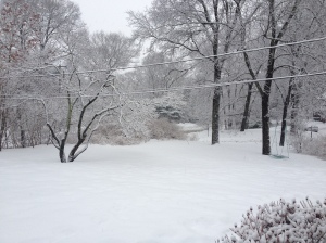 Winter Storm Thor as we speak!  Certainly beautiful but also like getting lemon juice in your eye...