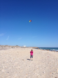 The wind was steady so no kite attacks this time around.